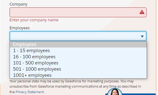 Ask your leads for the size of their company to qualify them